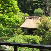 うかい鳥山 - 