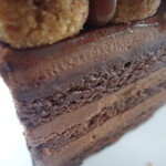 アシッドラシーヌ - 