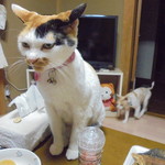 本庄鮮魚センター - はやく食べたい