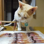 本庄鮮魚センター - ホタル食べる