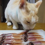 本庄鮮魚センター - あまくてうまいんだよ