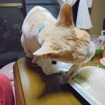 本庄鮮魚センター - イカゲソも丸のみｗ