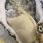 ビストロ ティアボ - 