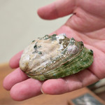 Variante - 鮑の貝殻の緑色の部分は"グリーンマーク"と呼ぶそうで餌の海藻の色素なんだそう。