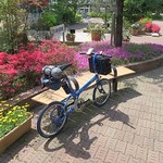 麺くい やまちゃん - 