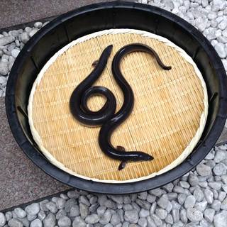 幻の鰻「共水」・匠の鰻「兼光」・のだや「厳選うなぎ」