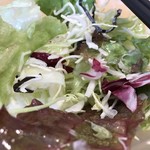 ステーキハウス松木 - セットのサラダ