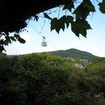 梟の館 - 店から外をながめる２（ちょうど、ロープウェーが通過）