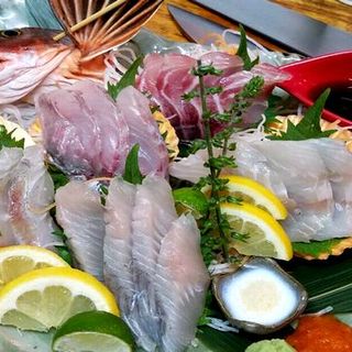 新橋 鶏眞_1