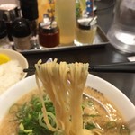 ますたにラーメン - 細麺です(固めがオススメ)