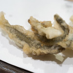 うを徳 - 2017.5 琵琶湖稚鮎天ぷら