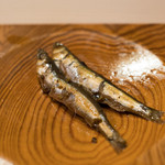 うを徳 - 2017.5 花山椒で炊いた琵琶湖稚鮎