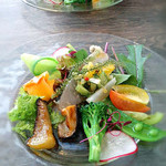 オステリア セーザモ - 前菜