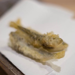 うを徳 - 琵琶湖（びはこ）稚鮎（ちあゆ）