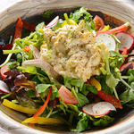 13 types of Mitsukuni salad (using Kamakura vegetables)