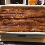 まめたぬき - 穴子陶箱飯のアップ