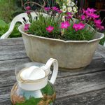 フレッシュハーブティー