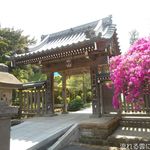 香り仕事 - 北鎌倉散策