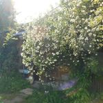 香り仕事 - 外観