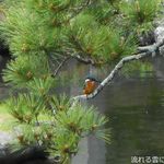 香り仕事 - 北鎌倉散策