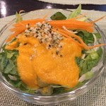 オリエンタルキッチン アンジュナ 恵比寿代官山店 - サラダ。 ドレッシングがうまい。どうやって作ったか聞いたんだけど、もう忘れた(笑) オーガニックの何かを、すりおろし、、、、。