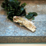 寿司栄 - １週間寝かせた縞鯵の刺身の摘み