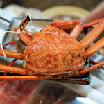 寿司栄 - ２０,０００杯に１杯ともいわれる高級食材、黄金蟹！