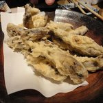 居酒屋やまちゃん - メヒカリの天ぷら