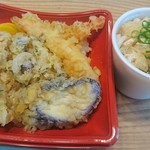Bimisaisai Tsutaya - 本日の日替わり￥550は天丼&ミニうどんでした