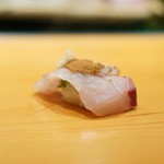 天寿し - 瀬付き鯵