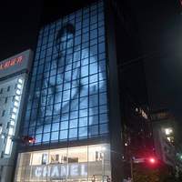 ベージュ アラン・デュカス 東京 - 