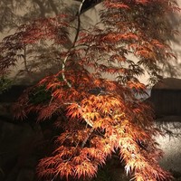 東京 芝 とうふ屋うかい - 