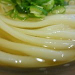 うどん 丸香 - 美しい♪