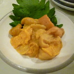 シロクマ食堂 - 2017.5月