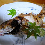 ふく田 - のどぐろ塩焼き