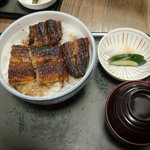 うな豊 - 二段詰め丼