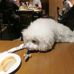 OSTERIA dieci - もう、お腹いっぱいよ！！