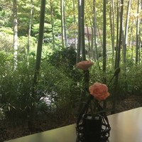 葉山 日影茶屋 - 