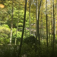 葉山 日影茶屋 - 
