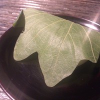 草門去来荘 東村山店 - 草門去来荘(水菓子)