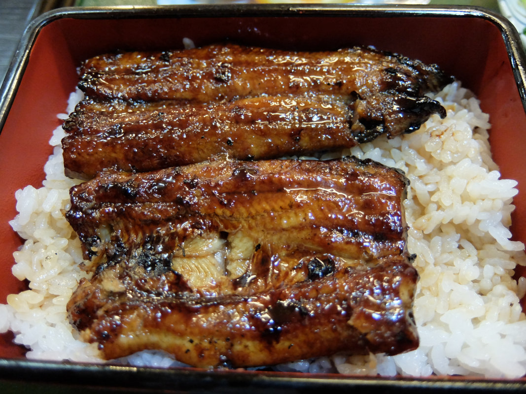 金子屋 name=