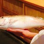 てんぷら　成生 - 