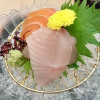 水葵 - 