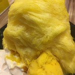 ICE MONSTER Zhongxiao - 