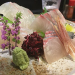 けんぢ - シマアジと鯛