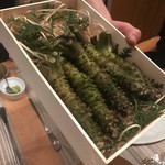 SUGALABO - 関金わさび