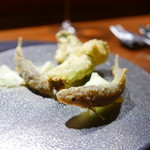 TACUBO - 稚鮎とタラの芽のフリット