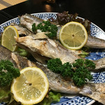 天一 - アラのアラとカマス