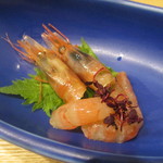 小料理 すず乃 - 秋田産 甘海老の醤油漬け
