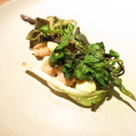 春の山菜　カタクリとカタリの花　シドケ　ウコギ　リードボーのフリット　カラスミのソース